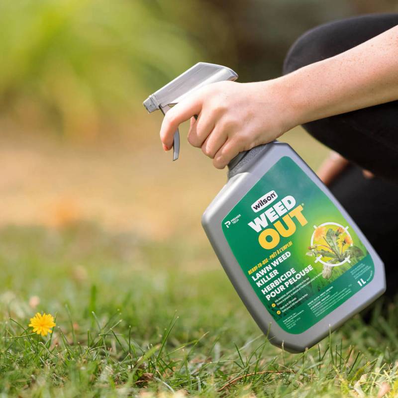 Best Dog Friendly Weed Killer