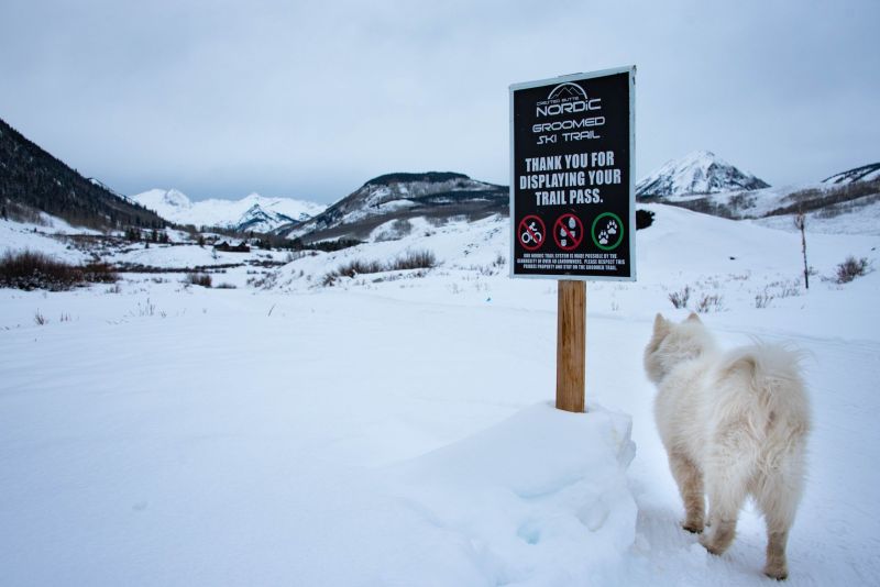 Best Dog Friendly Winter Vacations