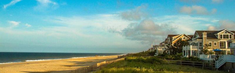 Dog Friendly Beaches East Coast