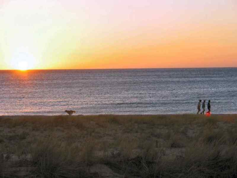 Dog Friendly Beaches East England