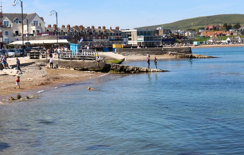 Dog Friendly Beaches Near Me All Year Round