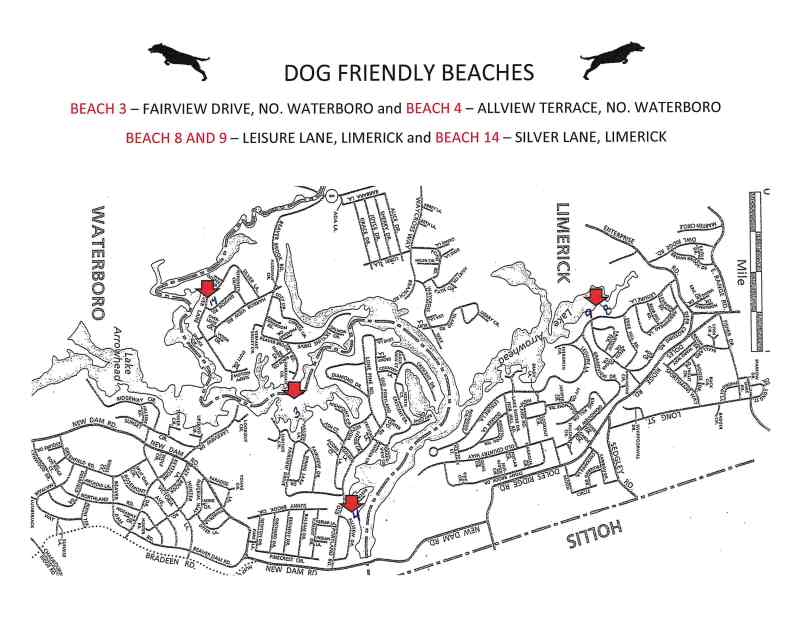 Dog Friendly Beaches Near Me Map