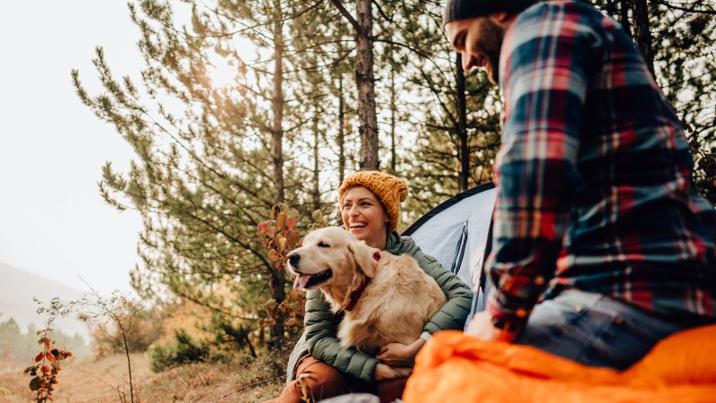 Dog Friendly Campgrounds With Cabins Near Me