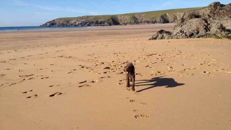 Dog Friendly Holidays Europe