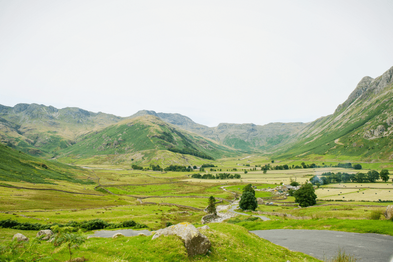 Dog Friendly Holidays Lake District