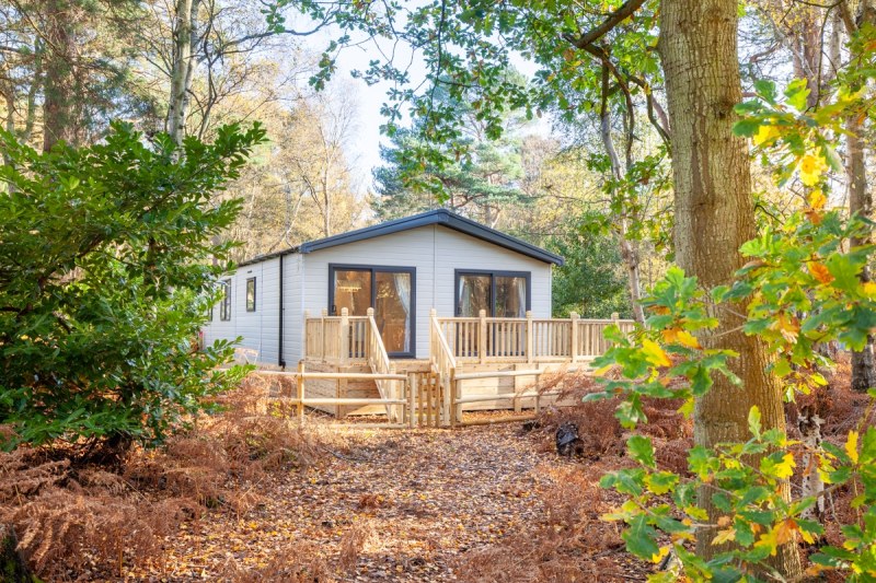 Dog Friendly Log Cabins With Enclosed Garden