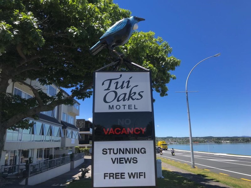 Dog Friendly Motel Taupo