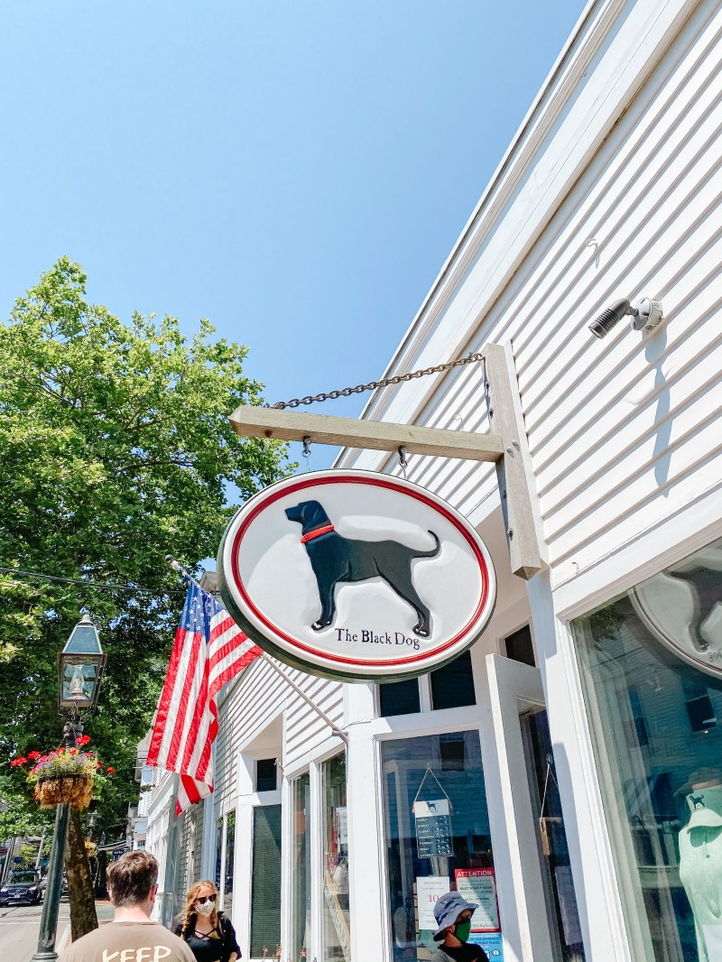 Dog Friendly Places Near Me To Stay