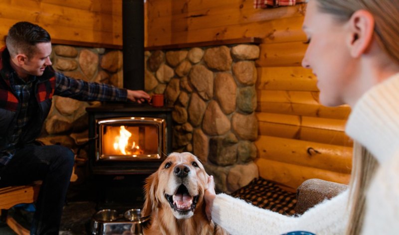 Dog Friendly Vacations Alberta