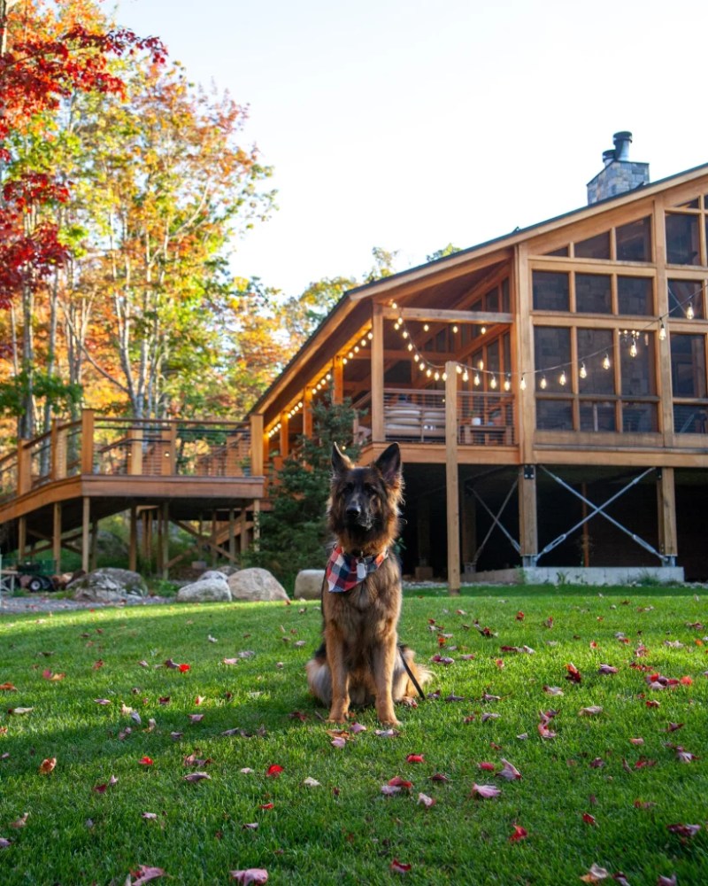 Dog Friendly Vacations In The Northeast