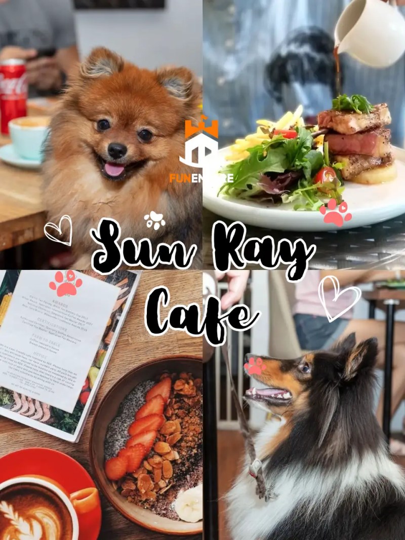 Fun Dog Friendly Places Near Me