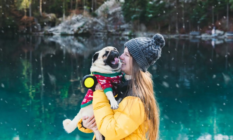 Fun Vacations To Take With Your Dog