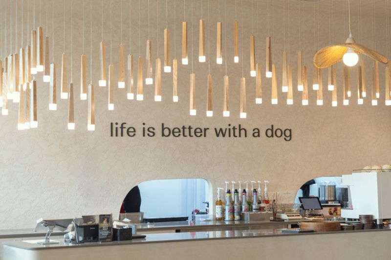 Good Dog Friendly Restaurants Near Me