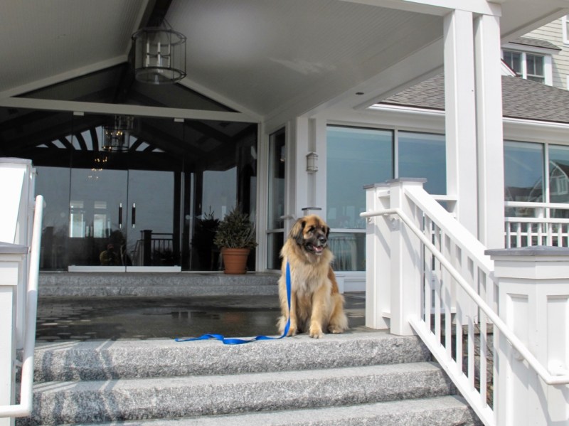 Pet Friendly Resorts Quebec