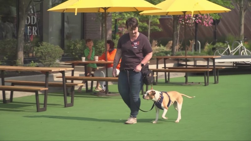 Restaurants Near Me Outdoor Seating Dog Friendly