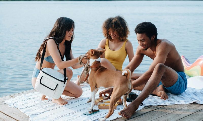 Vacations That Are Pet Friendly