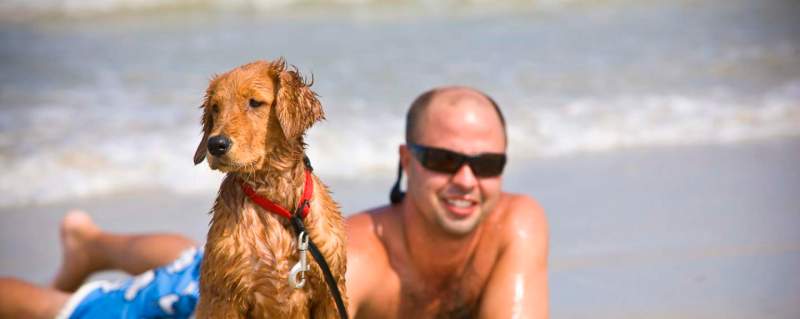 Vacations To Take With Your Dog