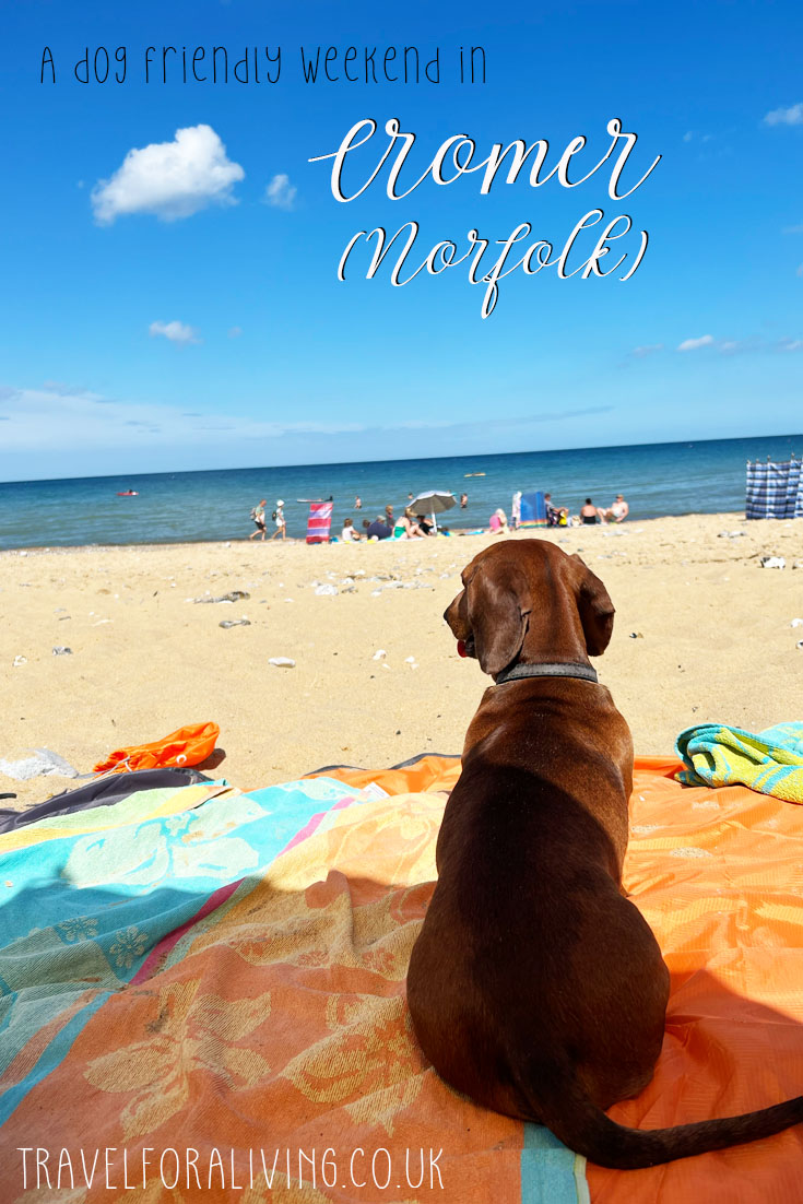 Weekend Getaways With Dogs Uk