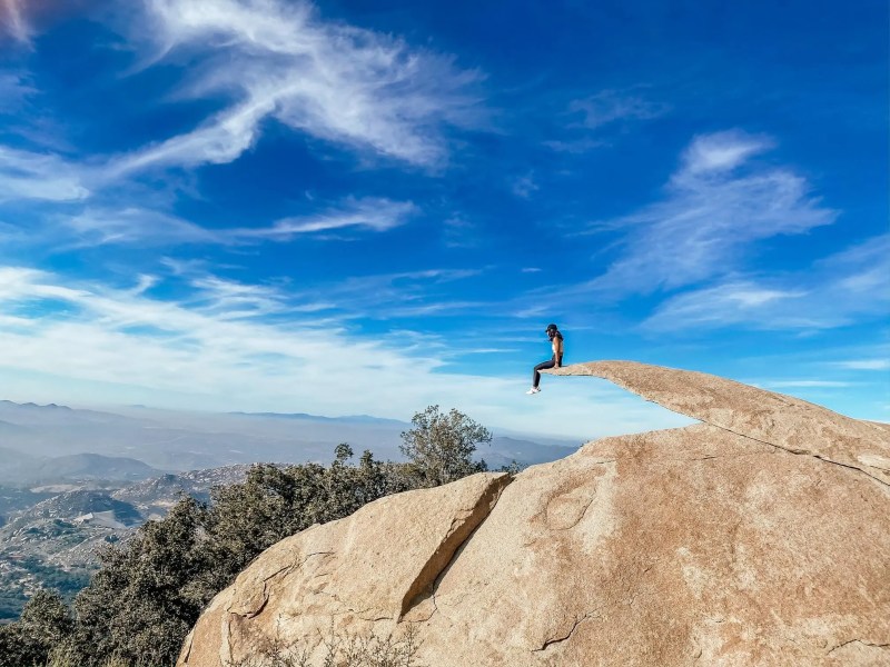 Best Dog Friendly Bay Area Hikes