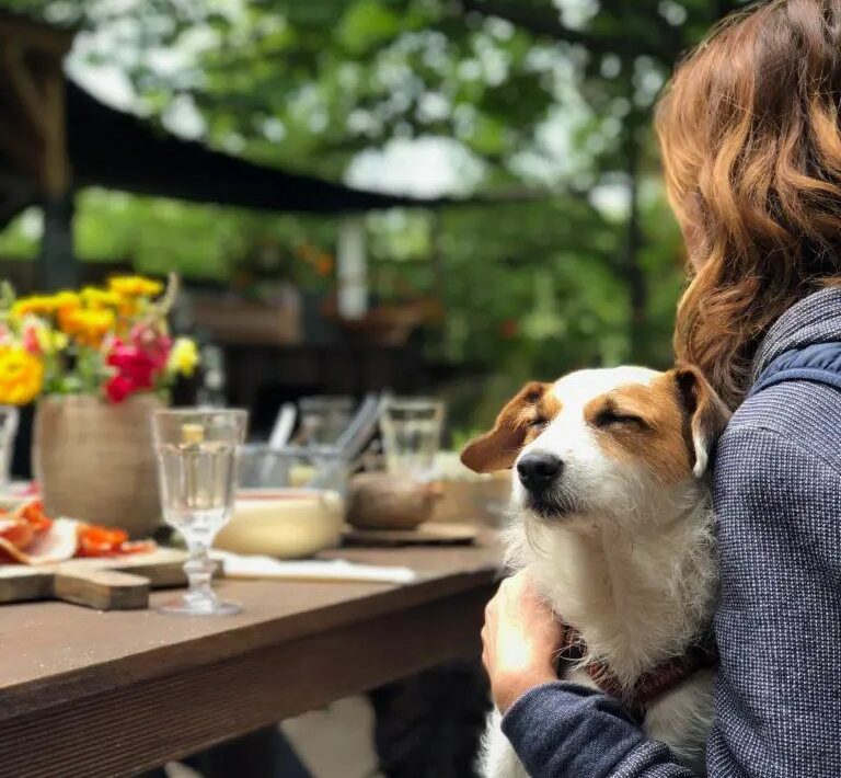 Best Dog Friendly Pubs Sydney