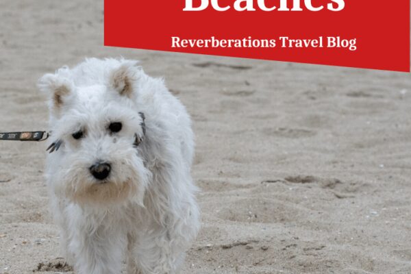 Dog Friendly Resorts On East Coast